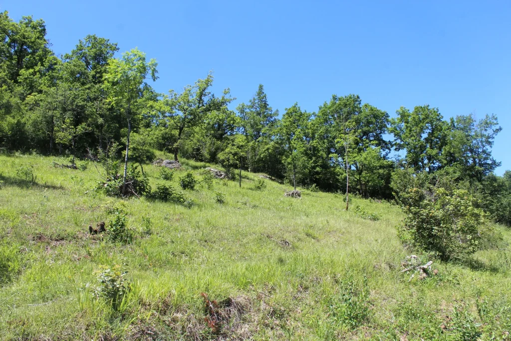 Lande de la Borie, Espace Naturel Sensible