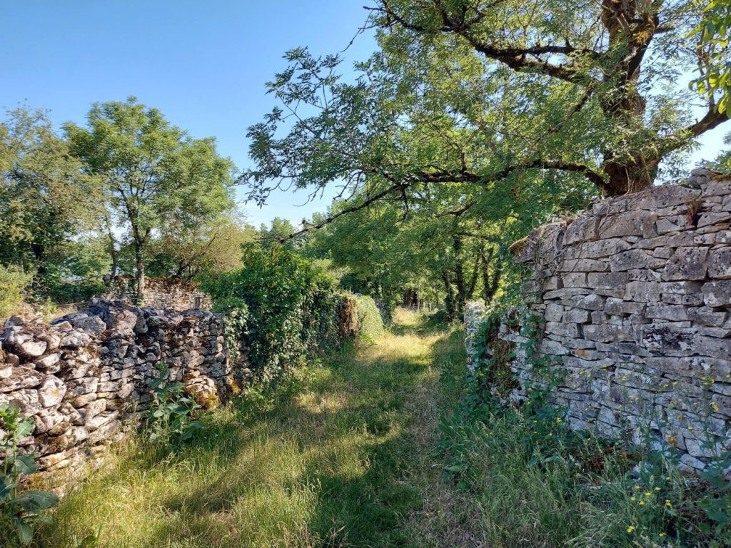 chemin de la randonnée