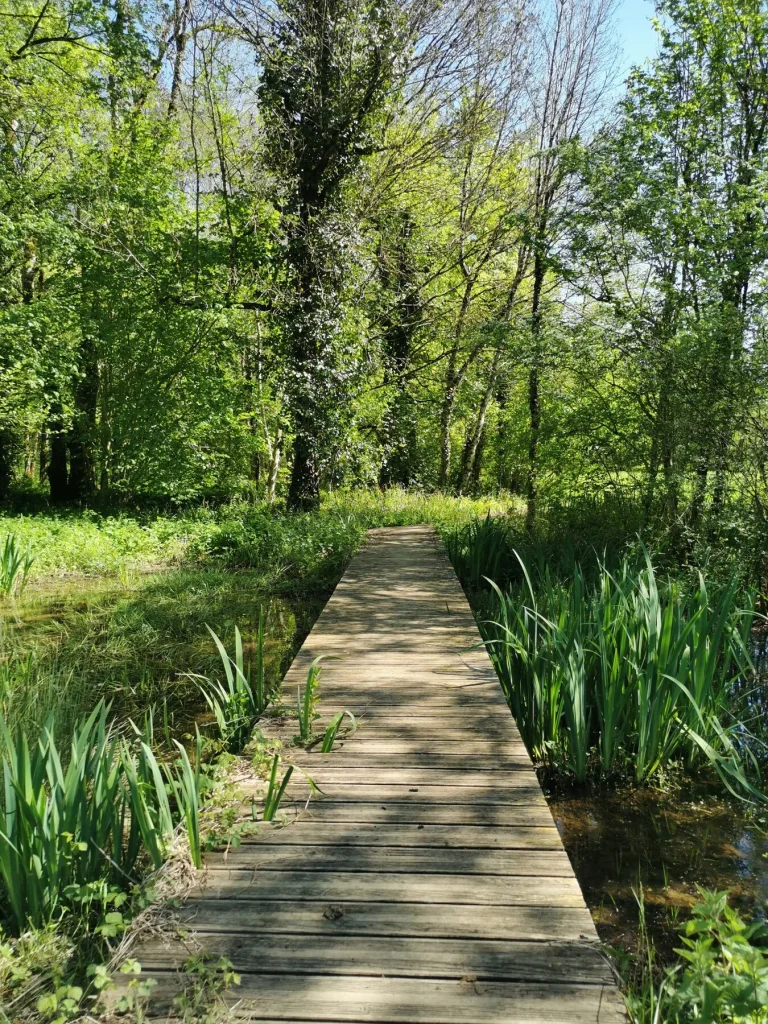 Espace Naturel Sensible de la lande de la Borie