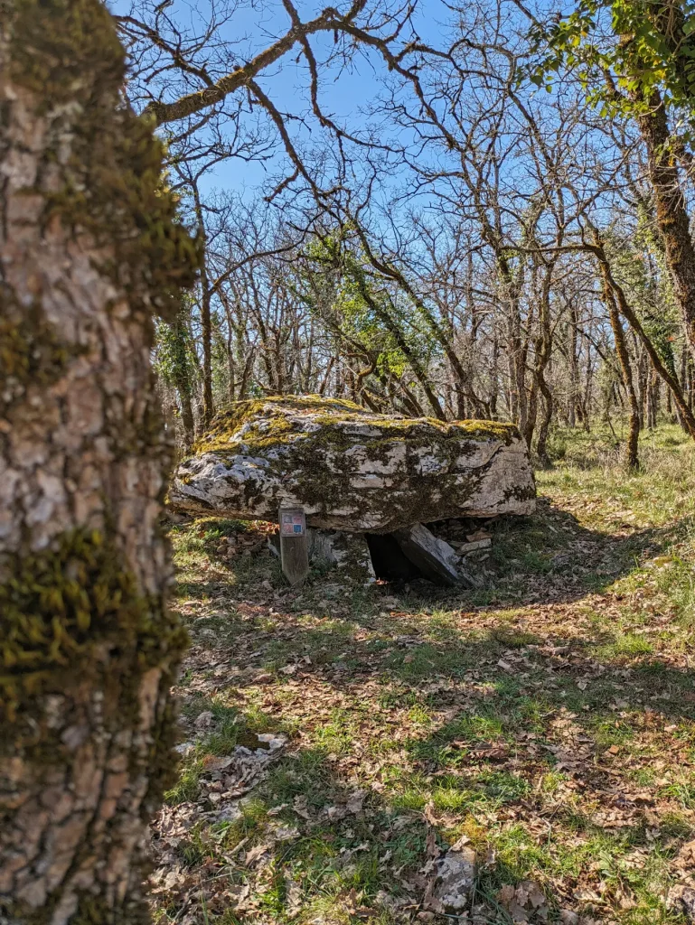 Dolmens de Foissac