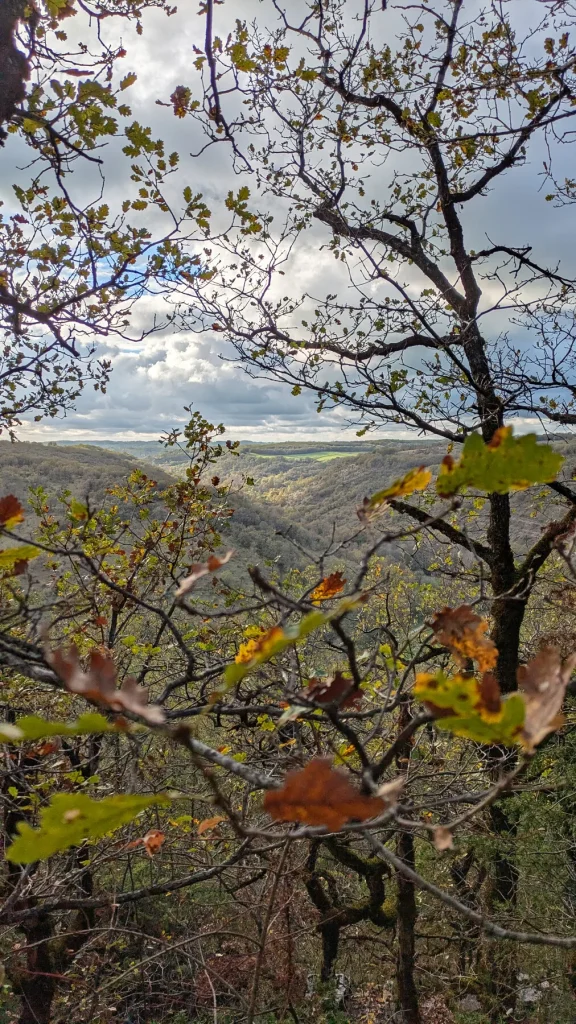 Espace Naturel Sensible de la lande de la Borie